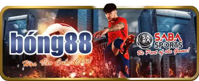 Môi trường cá cược công bằng và an toàn